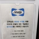 수지스테이25 | 용인 수지 스테이25 호텔 디럭스 윈도우 객실 완벽 호캉스! 씰리침대에서 꿀잠 자고 왔어요