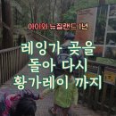 모터타운(Motor town) | 뉴질랜드 케이프 레잉가를 돌아 황가레이까지