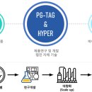 펩타이드 재조합 플랫폼 펩진 이미지