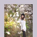 구름나그네 이미지