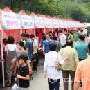 2016 광명동굴 대한민국 와인 페스티벌 이미지