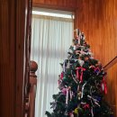 신당농장 | [약수/신당] 꽃 주는 카페 ‘사루’ 후기