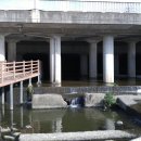 수영강 세월교 이미지