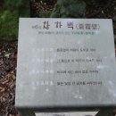 라보장 이미지