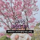 화담 | 아기랑 봄 화담숲, 예약후기, 주차꿀팁, 모노레일