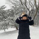 수혁농장 Daum카페