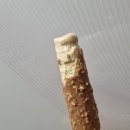 더커피아이스크림