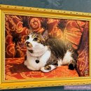 루모스(LUMOS) | [홍대] 해리포터 덕후의 하루｜컨셉 스튜디오 다녀온 후기(루모스앤녹스 Lumos&amp;Nox)