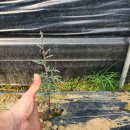 블루엔젤 하우스 이미지