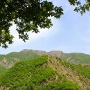 봉두암산_숲길(등산)2코스 | 무등산 등산코스 완벽 가이드｜광주 도심에서 만나는 암봉 절경 &amp; 트레킹 명소