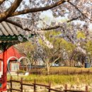 대창반점 - 동구 | 대창반점