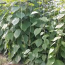 태인농장 이미지