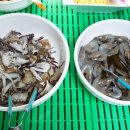 찬이네반찬 이미지