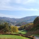 웰리힐리 컨트리클럽 이미지