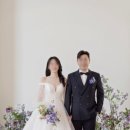 다비플라워 - 성남시 분당구 야탑로 72 | 다비플라워