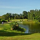 세븐스타 이미지