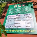 전남도청비둘기어린이집 | 님과 함께하는 푸릇푸릇 힐링산책 [전남도청 산책길]