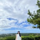 진호카서비스 이미지