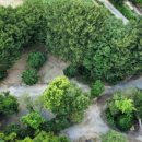 나그네캠핑장 이미지