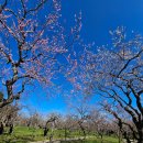한국바이오텍 이미지