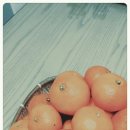 꽃씨네돌담집 이미지