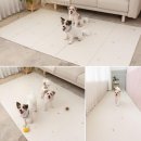 바둑이펫 쇼핑하우