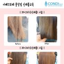 아베끄보떼