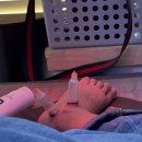 상봉그린한의원 이미지