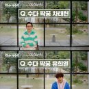 수다 이미지