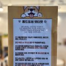 퐁드포레 이미지