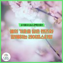 G&G 콘택트렌즈 이미지
