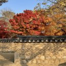 "절대 놓치지 말 것!"...가을에 특히 더 아름다운 경기도 단풍 명소 BEST 4 추천 이미지