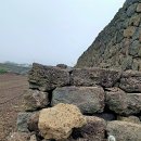 한성당건재한약품 | 섬을 지키기 위해 쌓아 올린 기나긴 환해장성