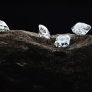 월곡, ‘보석용 합성 다이아몬드의 유통시장 연구’ 발표 이미지