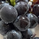 종로-신영-종로-영-153 | September #1 나 혼자만 가을