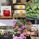 오주농장 이미지