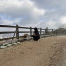 지율목장 이미지