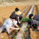 재형농장 이미지