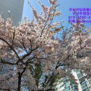 라온공인행정사 이미지