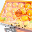 한라청과 - 김해시 김해대로1765번길 7 | 한라청과