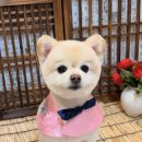 랜드부산