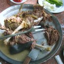 송원목장 이미지