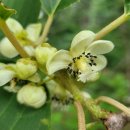 갯골샘터 이미지