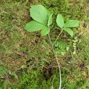 학선농장 이미지