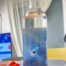 속숨한제주 | [제주탐라주]제주감귤증류주 신상 내돈내산 시음후기