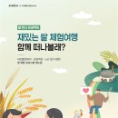 수요 문화 체험 이미지