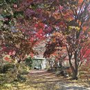 복지상일충전소 화장실 | [충남/당진]여긴 꼭 가야해! 실내데이트 아미미술관 작품전시 포토존