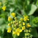창가 이미지