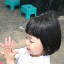 빛초롱어린이집 이미지