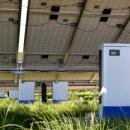 김미경태양광발전소 이미지